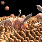 Enfermedades Parasitarias Transmitidas por Alimentos (EPTAS)